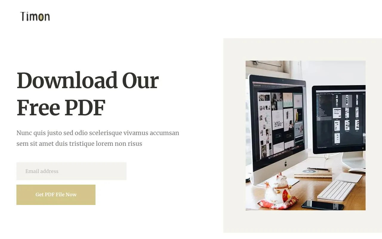 Ebook / Digital Product website template